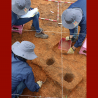 ¿Cuándo es obligatorio hacer un programa de arqueología preventiva?